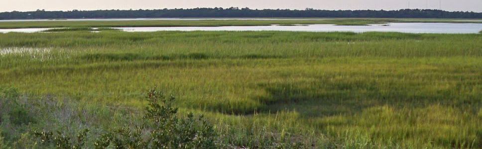 Slideshow Image 1