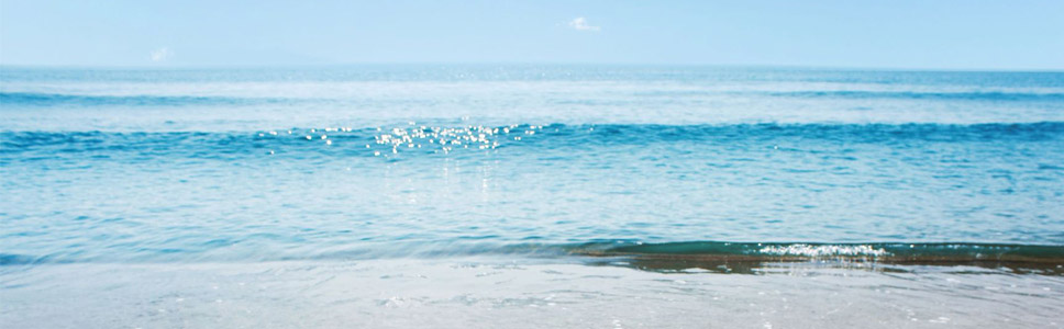 Slideshow Image 7